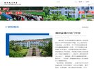 网站信息