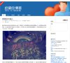 总排名