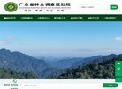 抄袭检测