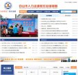 网站类型