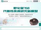 站点导航