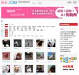 版权声明