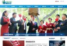 "网络科技"下的所有分类：