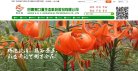 "网络科技"下的所有分类