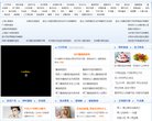 网站类型