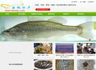 站点导航