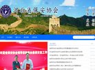 关于站长安博最新app最新版下载
