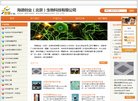总排名