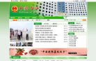 网站信息