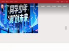 网站类型
