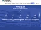 版权声明