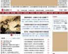 网站类型