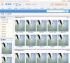 关于站长安博最新app手机版登录
