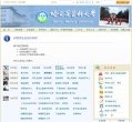 所在位置：主页 > 网站总排名