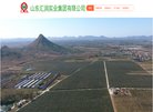 版权声明