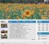 网站信息