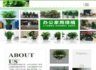 新游动态等最新信息