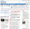 网站类型