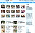 站点导航