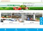 "生活服务"下的所有分类