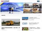 网站类型