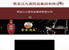 电商网站