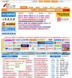 网站类型