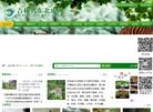 版权声明