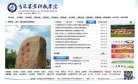 网站类型