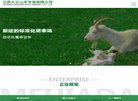 主页> 行业排名 > 地区排名 > 