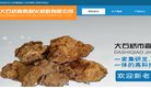 版权声明