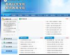 服务于个人的正规