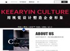 网站类型