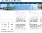 网站信息