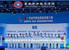 站点导航