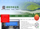 专业的分类信息...