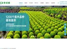 网站信息