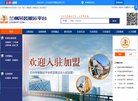 网站类型