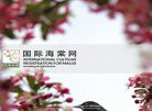 "生活服务"下的所有分类：