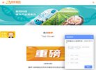 网站信息