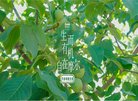 2026-08-23) 相关文章