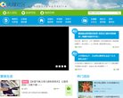 "综合其他"下的所有分类：