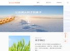 网站类型