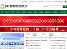 关于站长安博anbo最新版下载