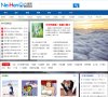 网站类型