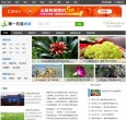 "网络科技"下的所有分类