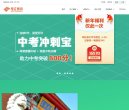 网站类型