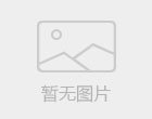 全球领先的独立第三方支付平台