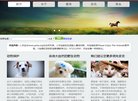 求职招聘