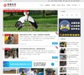"网络科技"下的所有分类